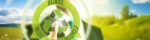 Business seminar on "Circular economy in China: from theory to action"